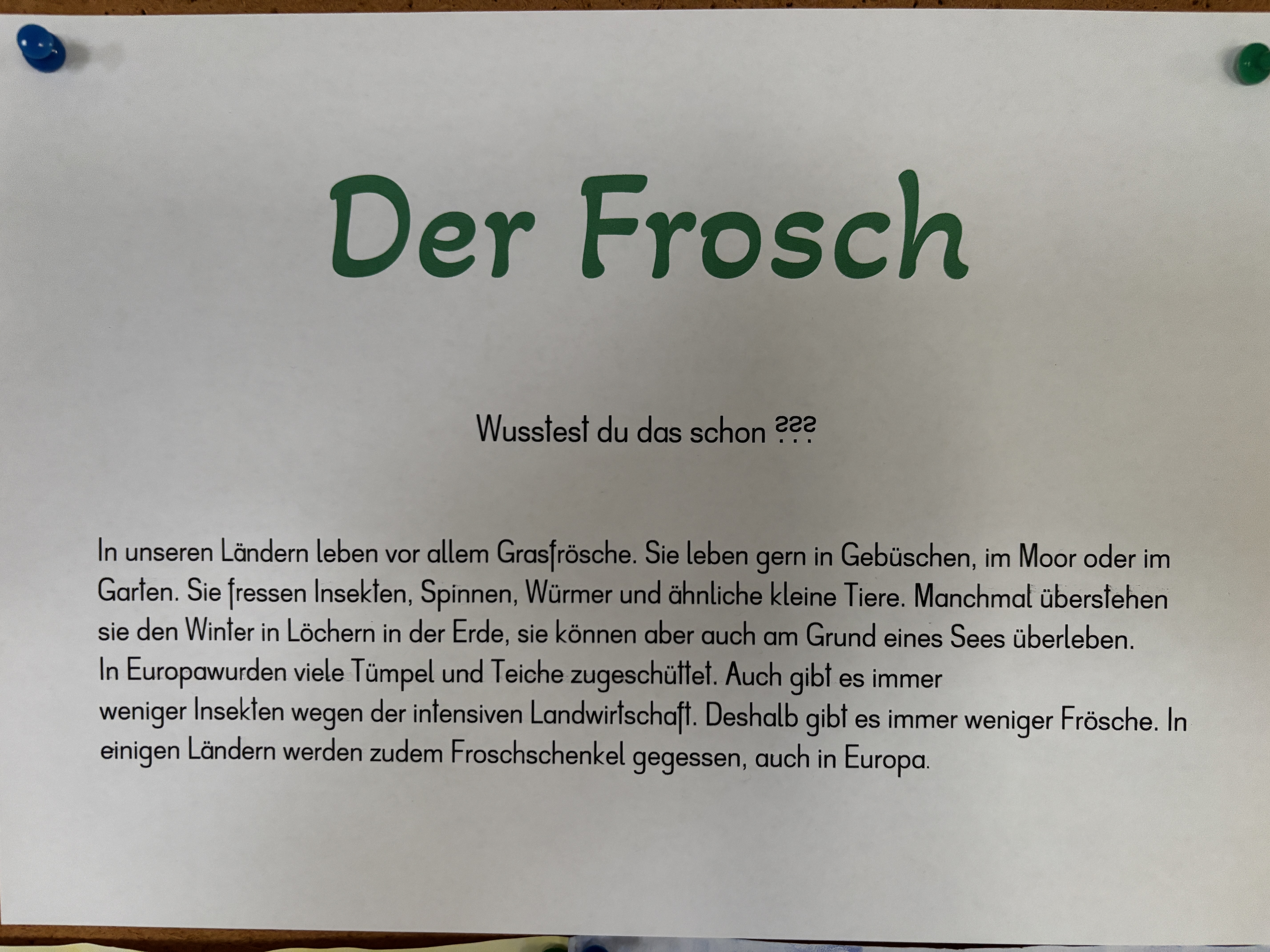 Bild